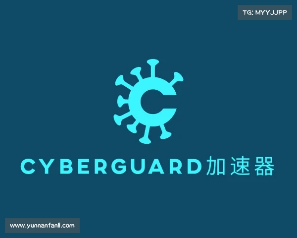 知道cyberguard加速器